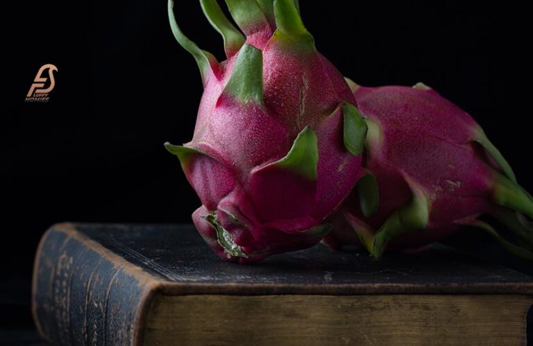 Parrots And Dragon Fruit: A Perfect Pair or Not? (2023)