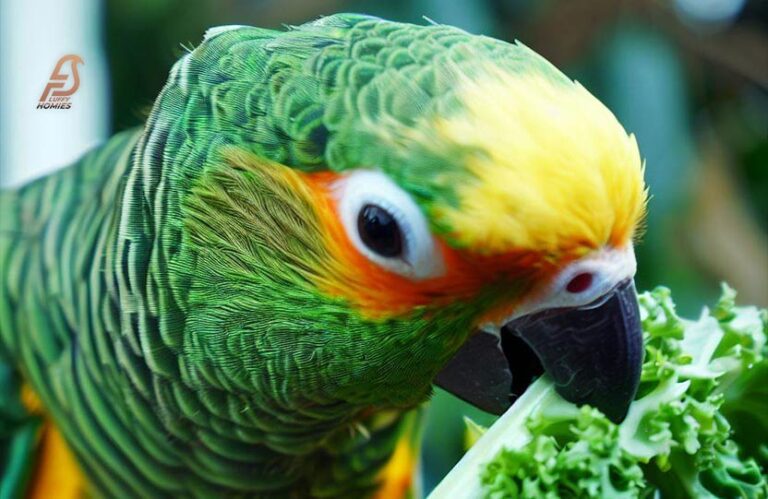 Can Budgies Eat Kale: Yes or No? (From Seeds to Greens 2024)