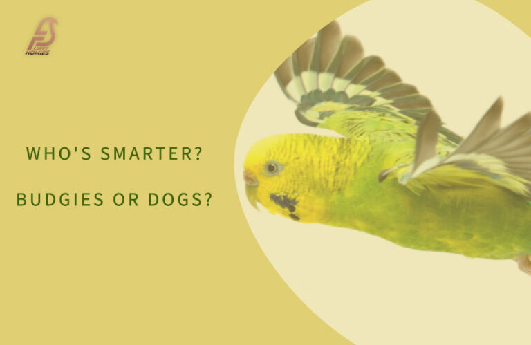 Are Budgies Smarter Than Dogs? (Intelligence Debate 2023)