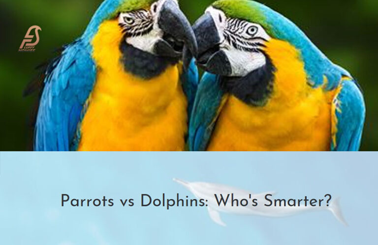 Are Parrots Smarter Than Dolphins? (Great Brain Debate 2024)