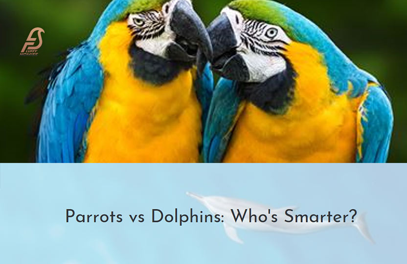 Are Parrots Smarter Than Dolphins?